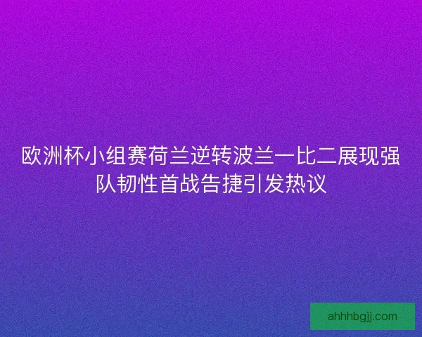 欧洲杯小组赛荷兰逆转波兰一比二展现强队韧性首战告捷引发热议